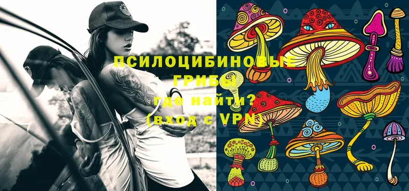 Псилоцибиновые грибы Magic Shrooms  Лянтор 