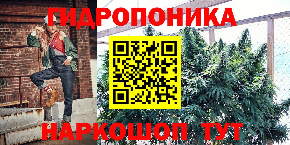Шишки марихуана Amnesia Лянтор